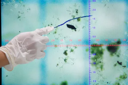Jenis mikroplastik yang sering ditemukan di perairan Surabaya, yaitu fiber atau serat. (dok. Ecoton)