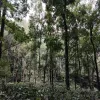 Foto: Rangga Prasetya Aji Widodo/Project Arek
